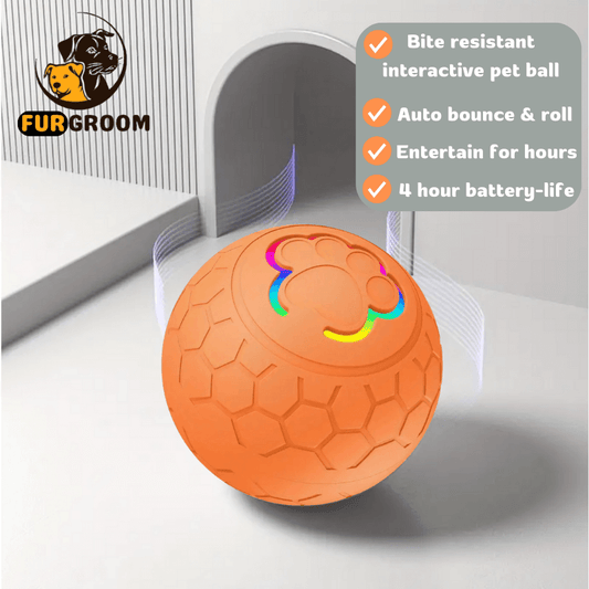 FurGroom™ Automatic Pet Ball