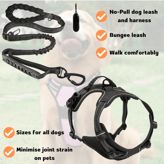 No-Pull Dog Leash and Harness