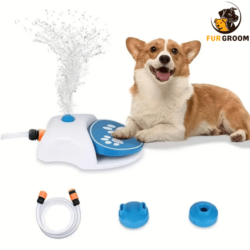 Dog push pedal water fountain australia best sale