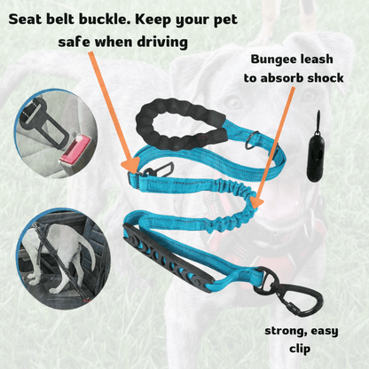 No-Pull Dog Leash and Harness