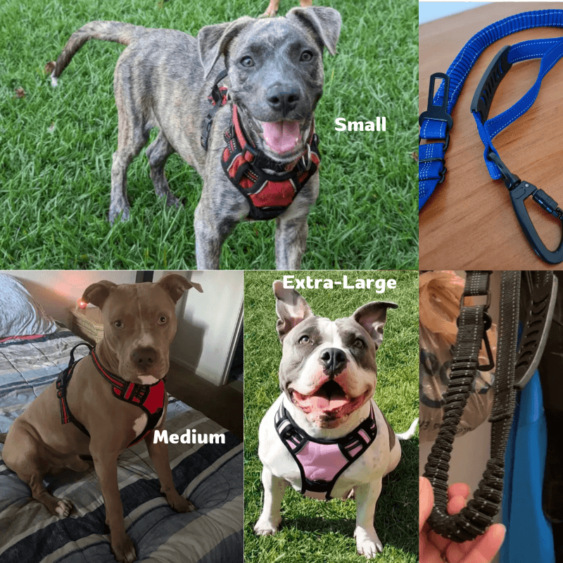 No-Pull Dog Leash and Harness