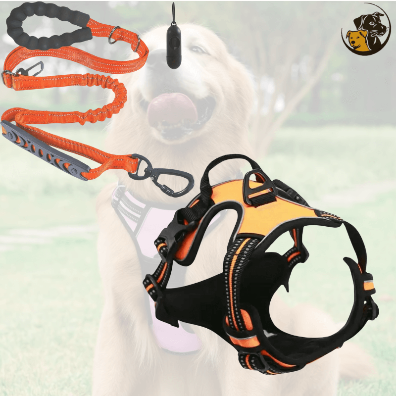 No-Pull Dog Leash and Harness