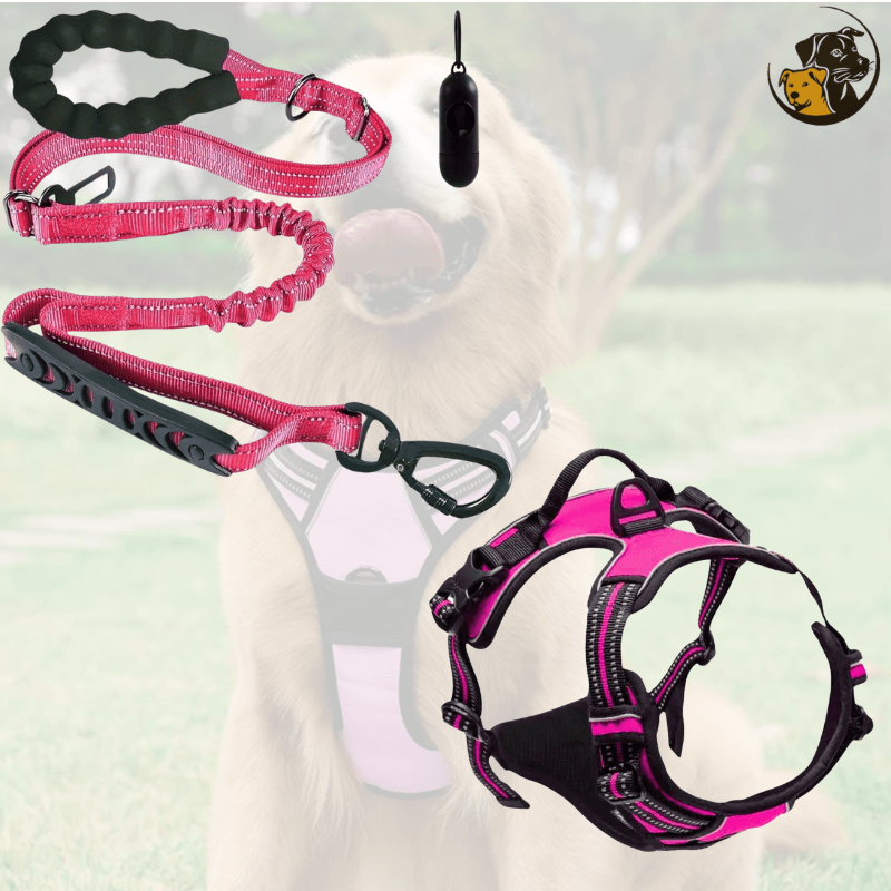 No-Pull Dog Leash and Harness