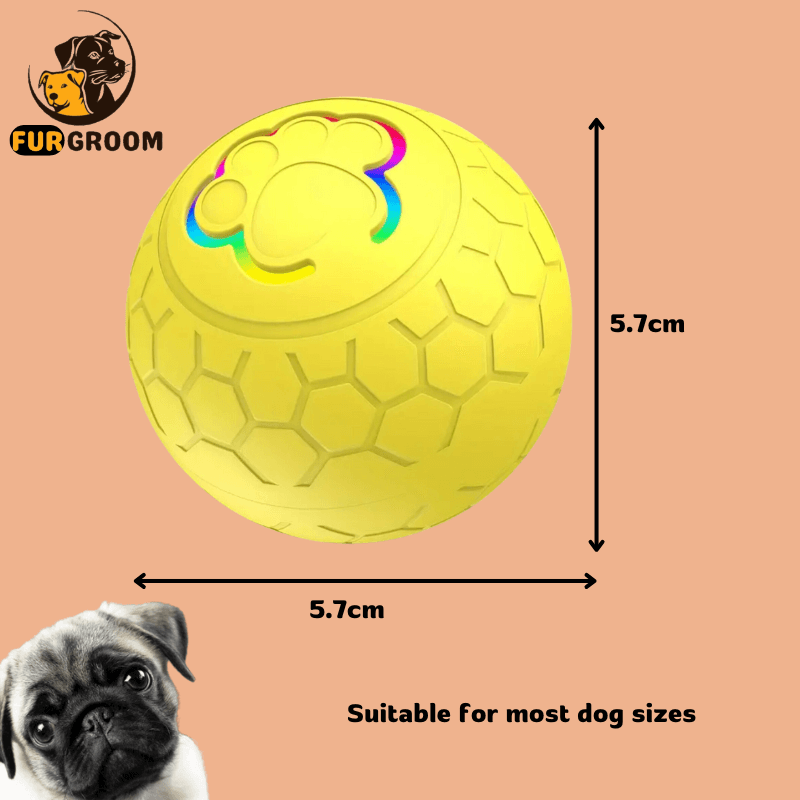 FurGroom Automatic Pet Ball