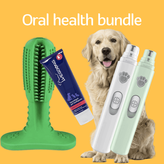 Oral Health Bundle